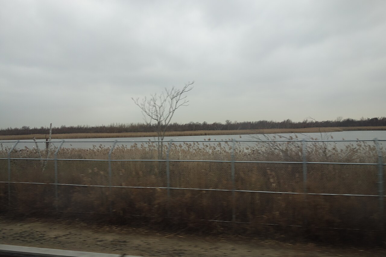 The West Pond trail at Jamaica Bay Wildlife Refuge with marsh grasses and open water