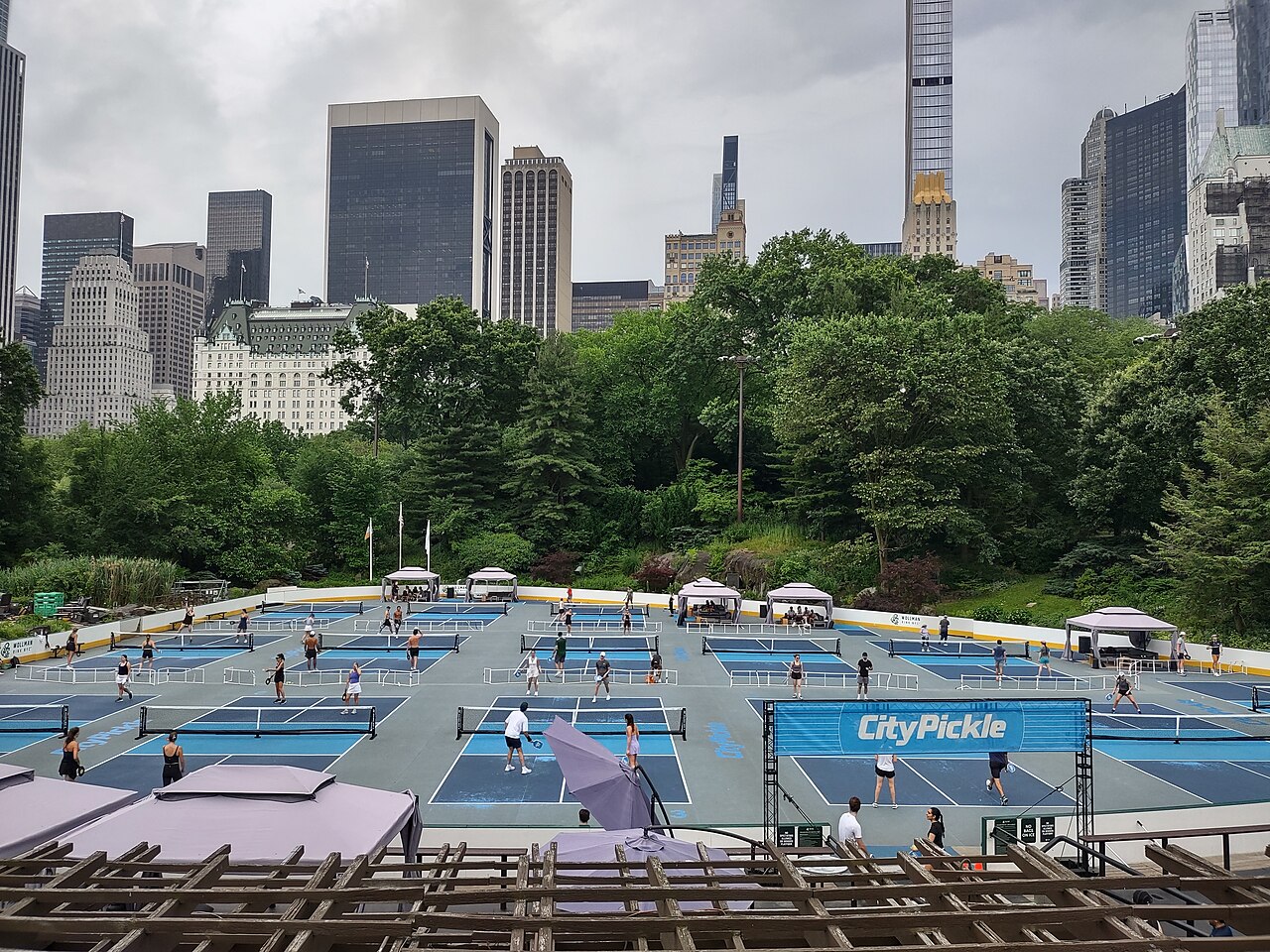 NYC in November With Kids: Rinks, Lights and the Parade