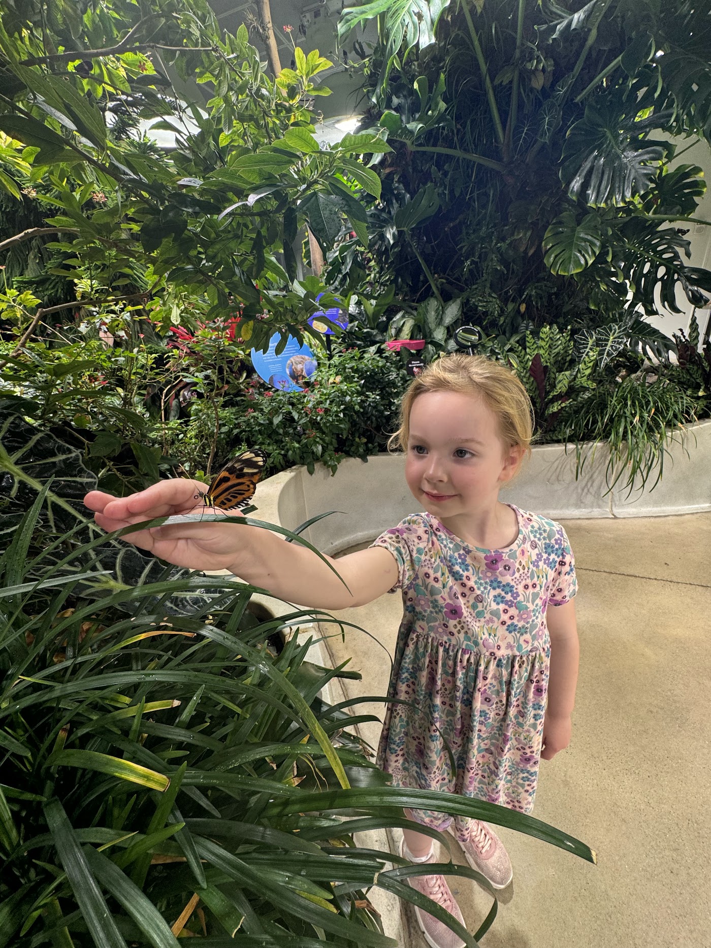 A small girl in a patterned dress among tropical plants in a butterfly house.