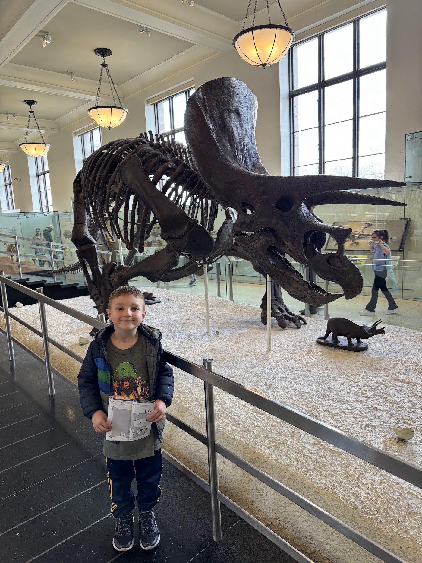 A boy standing below the mounted skeleton of a horned dinosaur in a bright gallery.