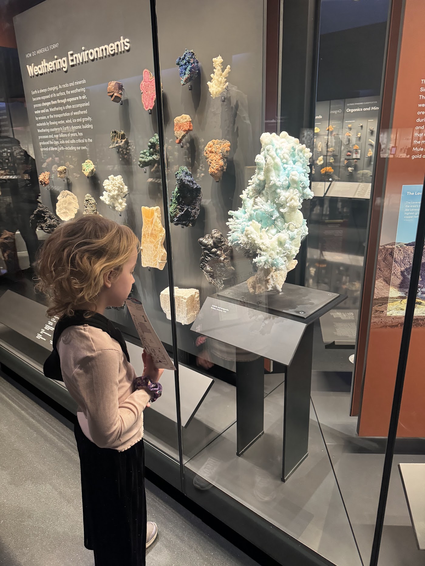 A girl beside glass cases of colored crystals and mineral specimens.