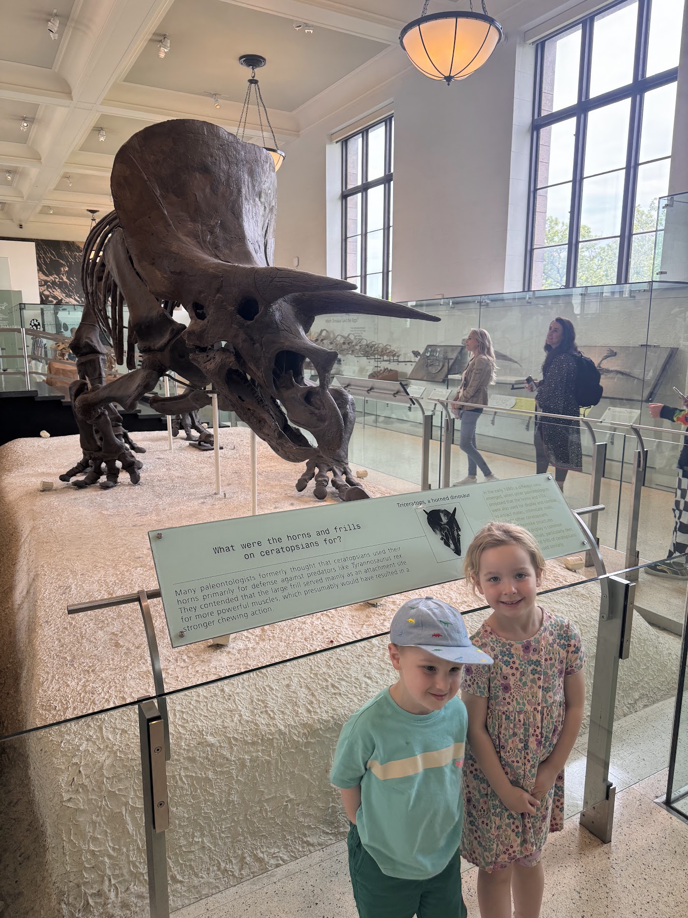 A child in a cap standing below a mounted Triceratops skeleton.