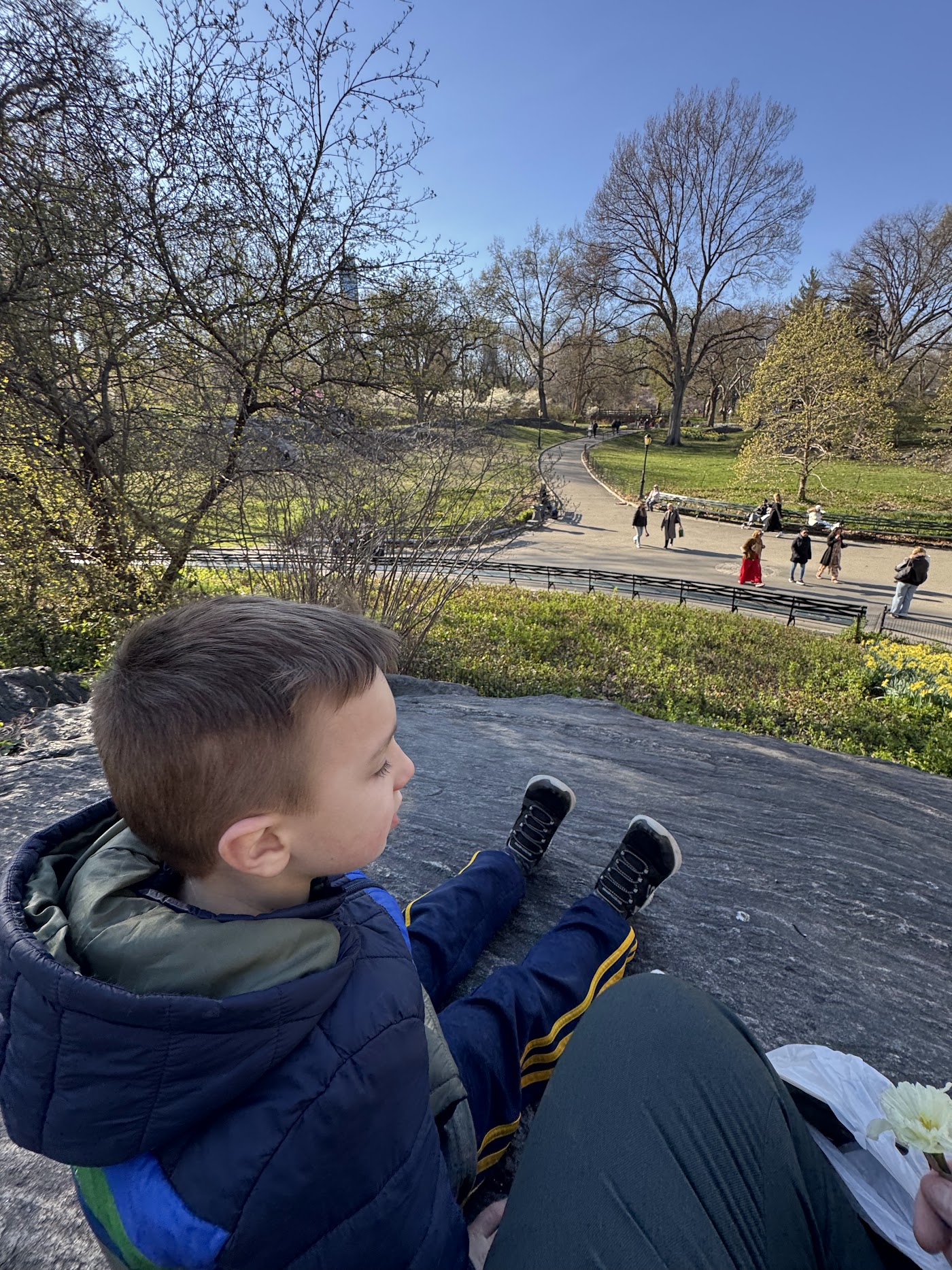 A boy sitting on a grey rock outcrop looking over the park.