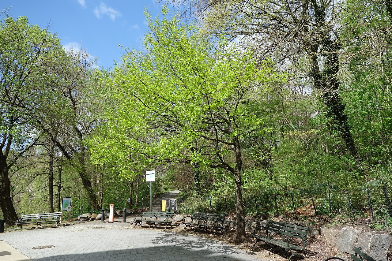 Inwood Hill Park td