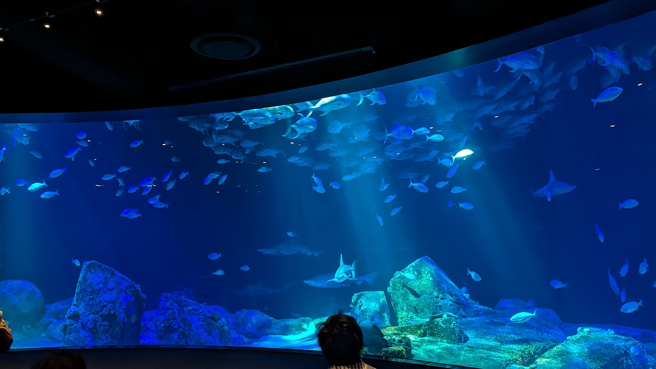New York Aquarium Hudson Canyon Tank