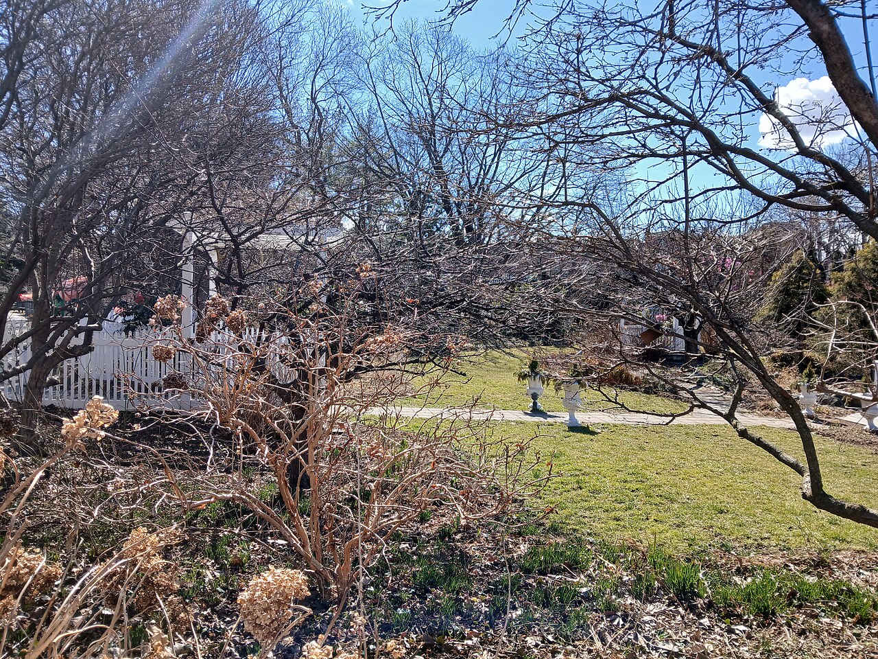 Queens Botanical Garden Mar