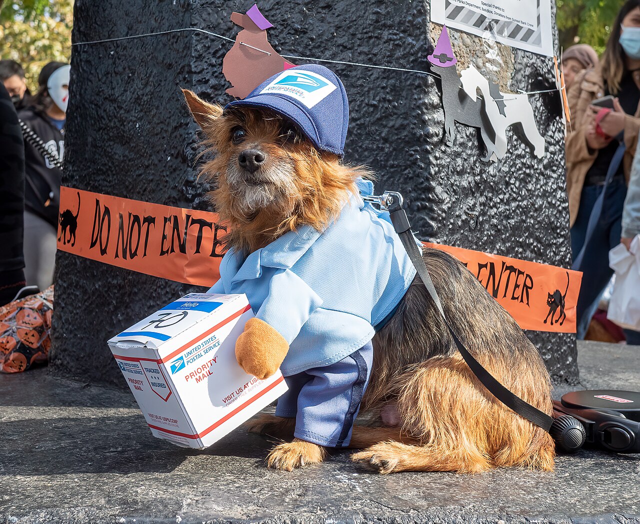 Dog costume parade in Sunset Park (16432)
