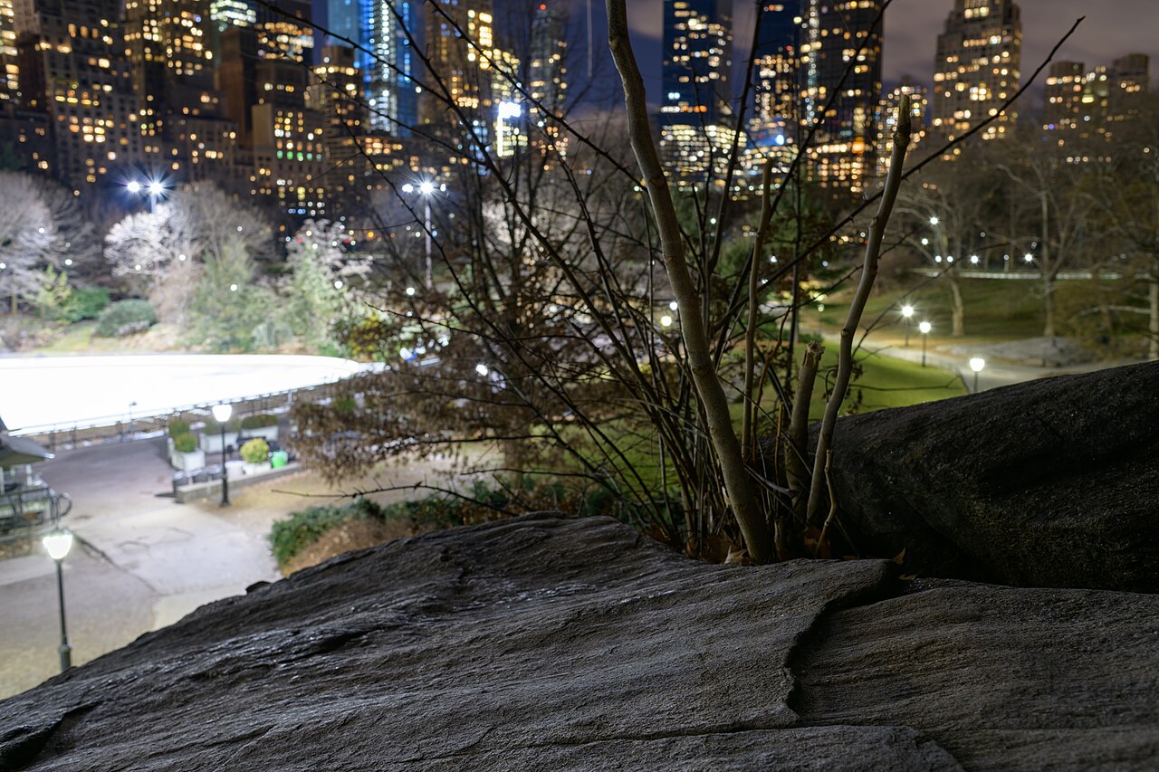 Skaters on Wollman Rink in Central Park with the Midtown skyline behind the trees
